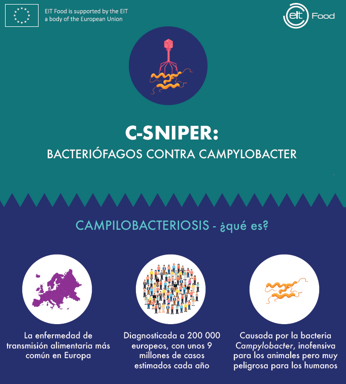azti_brta's tweet photo. ¿Qué es la #campilobacteriosis y qué pueden hacer los bacteriófagos para acabar con ella?
El proyecto de
@EITFood
#C_SNIPER lo explica todo de manera muy gráfica en esta infografía.
(pincha en el link, la imagen es solo un avance😉 )
👉👉https://t.co/fKYF6DZmu5 https://t.co/pK8ALgYQSg