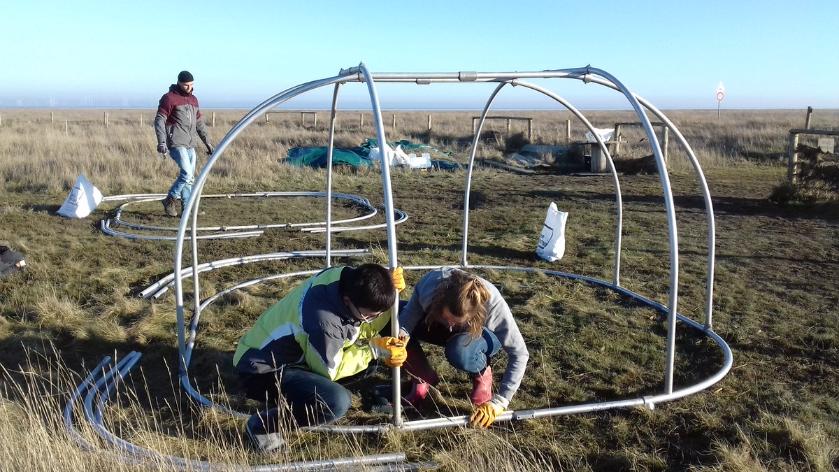 ExperimentMerit's tweet photo. It's #WorldWetlandsDay!! 🥳 

So maybe it's a good day to re-introduce ourselves:

In our experiment we study how #warming affects a #saltmarsh ecosystem in the #WaddenSea. We focus on vegetation, soil fauna, #bluecarbon, surface-elevation change, and #GHG fluxes. @UHHMIN https://t.co/mIvMiVRbXE