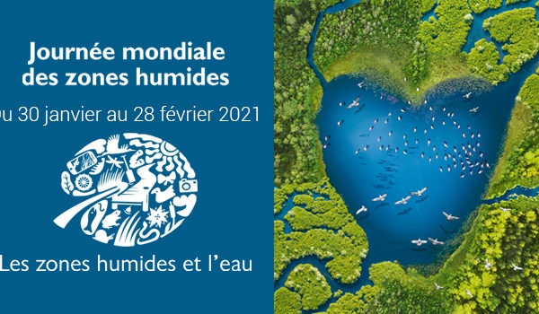AfosMedia's tweet image. #journeemondialedeszoneshumides 
#allforscience #environnement