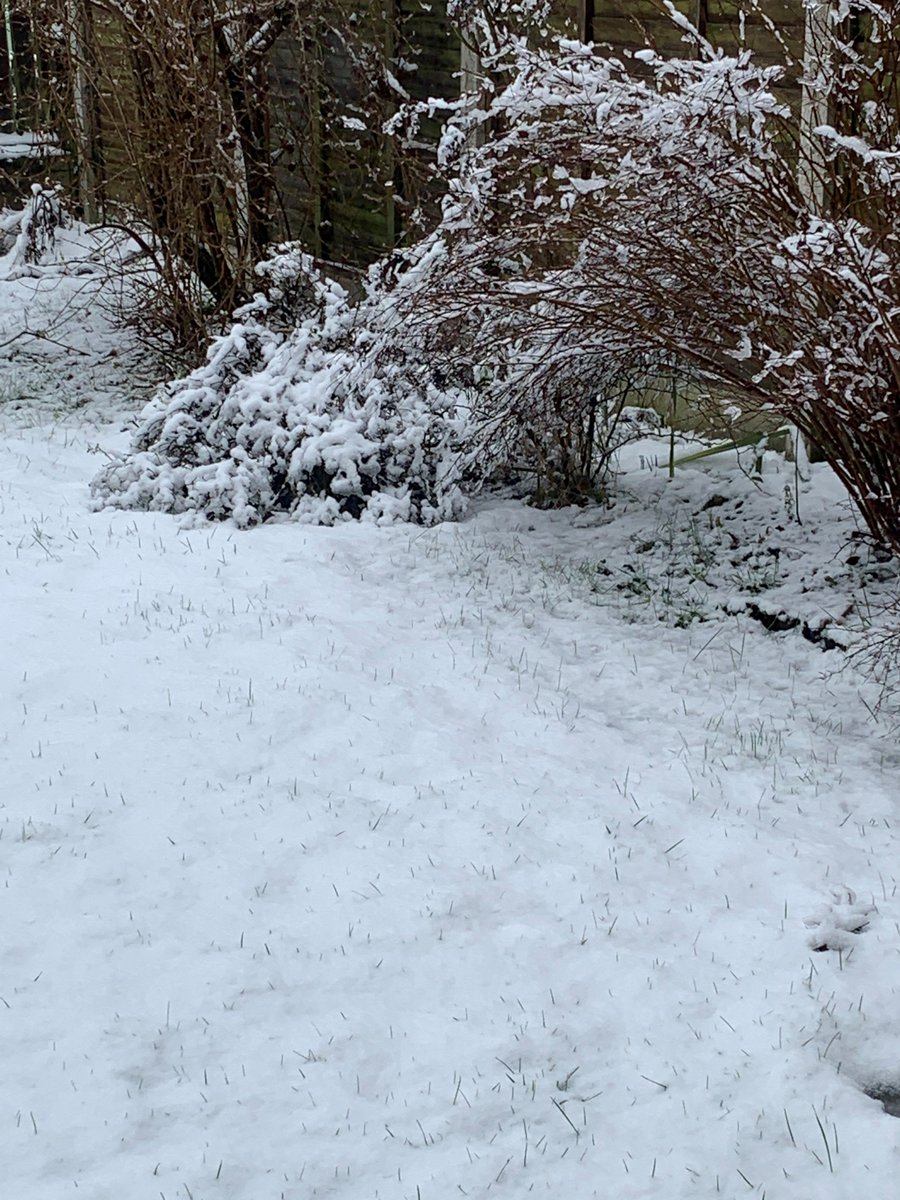 Ah, snow. The council's age-old nemesis has reared it's ugly head again to do battle one more time. Who will emerge victorious? Please see the below thread for our plan of attack.