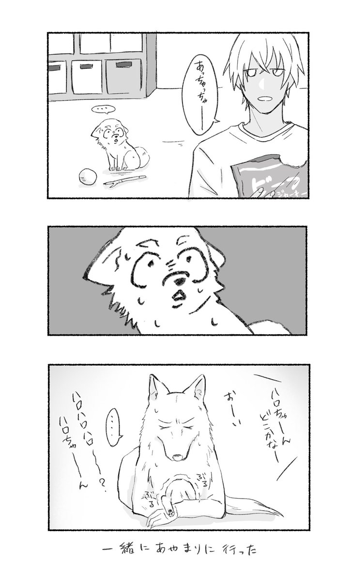 ハロとビーフジャーキー 