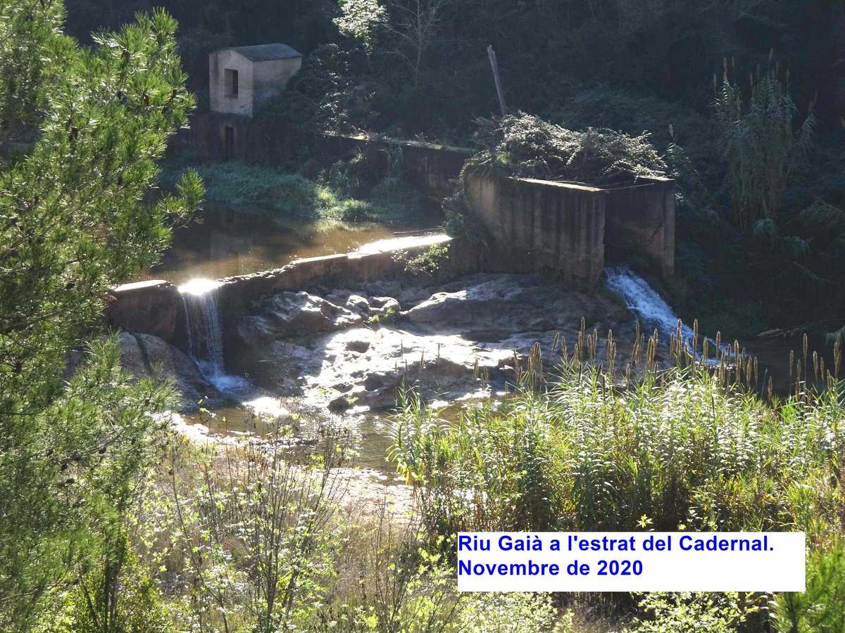 <a href="/HortaiLlum/">Horta i Llum</a> <a href="/CEstudisGaia/">Centre d'Estudis del Gaià</a> És una llàstima enderrocar aquesta estructura que entre els molts valors que té, serveix de refugi i reserva d'aigua per a la fauna quan hi ha sequera. Mireu a la fotografia com de sec pot quedar el Gaià. Fora bo que l'ACA desestimés aquesta actuació