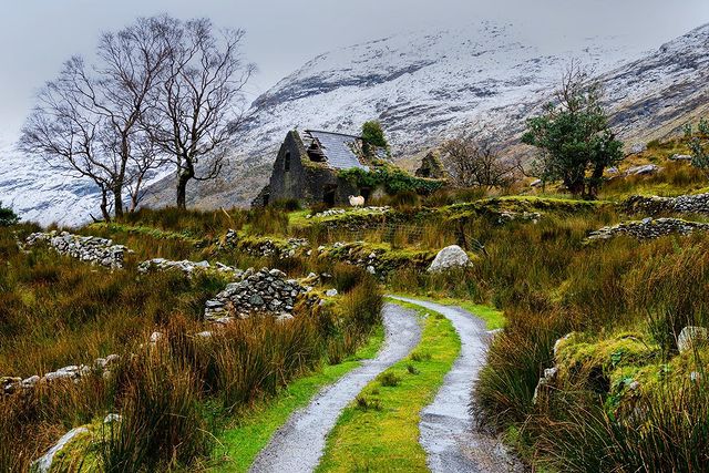IrelandExplorer's tweet image. Mind-blowing location in Ireland
🛒St. Patrick’s Day Gifts Shop
👇🎁
teetulip.com/saint-patrick

#Ireland #irishnation #IrishSC #IrishRugby #irishlotto #irishdiaspora #irishgovenment #Irishjewellery #Dublin #travel #Travelers #StPatricksDay #irishwhiskey #Cops #Irish #PhotoOfTheDay