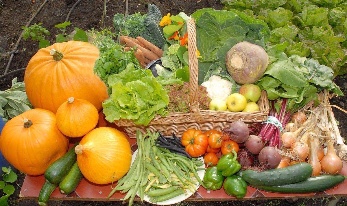 agriculture_ie's tweet photo. The Organic Farming Scheme (#OFS) will reopen to new entrants on the first week of March.
 
This is expected to increase the number of organic farmers by almost a third in Ireland this year, Minister @pippa_hackett announced today.
 
📍https://t.co/qBGhX2m6ux

#organic #farming https://t.co/g60x9C9pyT