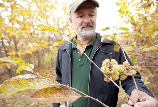 Another option is to support alternative food production systems, like the long-term agroforestry practised by Mark Shepard [growing "food, fuel, fibre & medicine" in ways that increase water capture & drought resilience while reducing dependence on global supply chains] /16