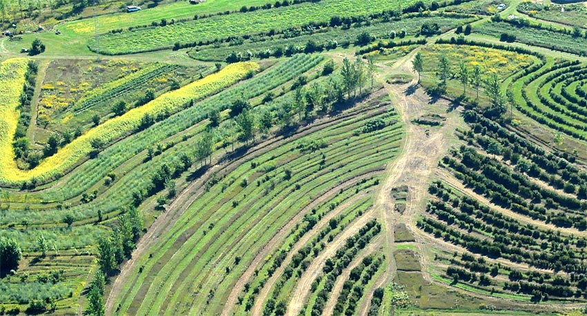 Another option is to support alternative food production systems, like the long-term agroforestry practised by Mark Shepard [growing "food, fuel, fibre & medicine" in ways that increase water capture & drought resilience while reducing dependence on global supply chains] /16