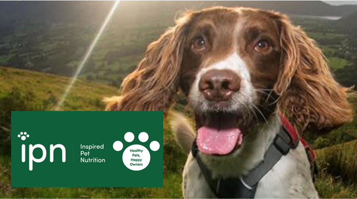 We are pleased to announce that L Catterton has signed a definitive agreement to sell Inspired Pet Nutrition to CapVest, a U.K.-based middle-market private equity firm. prnewswire.com/news-releases/…