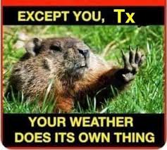 A little Texas humor this morning😆 Happy groundhog day!
