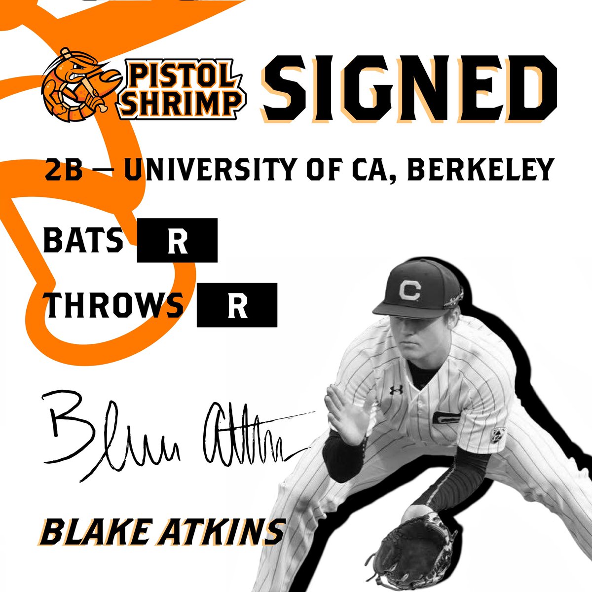 Pistol Shrimp Baseball tweet media