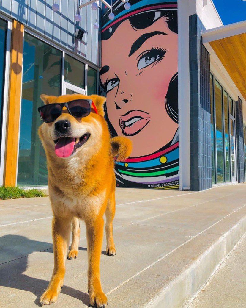 Spring is a state of mind 😎
#GroundhogDay 

🎨 Michael C. Rodriguez 
📍 1002 Westheimer Rd, Houston, TX 
📸 #repost <a href="/PerroJaxx/">jaxxperro</a>
💻 HoustonMuralMap.com by <a href="/upartstudio/">Up Image&ArtStudio</a> + <a href="/visibleinlight/">Visible in Light</a>

<a href="/minimurals/">minimurals</a> #punxsutawneyphil #6moreweeksofwinter #upartstudio #socialdistancing #houston
