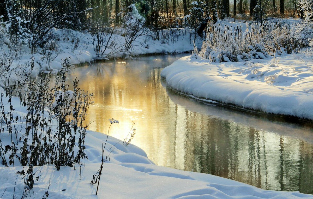 LNextnet's tweet photo. Winter gold of river. https://t.co/px77EB9Lyx