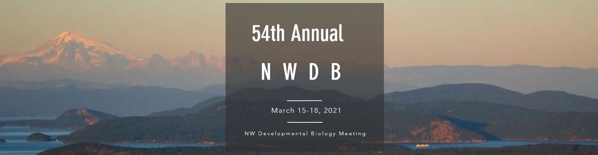 Society for Developmental Biology (@socdevbio) on Twitter photo Registration & abstract submission are open for the 54th Northwest Developmental Biology Meeting to be held virtually March 15th-18th, 2021! Organizers Kryn Stankunas <a href="/uoregon/">University of Oregon</a> and Clemens Cabernard <a href="/UW/">University of Washington</a> are planning a great program. Follow @nwdb2021. nwdbmeeting.org Registration & abstract submission are open for the 54th Northwest Developmental Biology Meeting to be held virtually March 15th-18th, 2021! Organizers Kryn Stankunas <a href="/uoregon/">University of Oregon</a> and Clemens Cabernard <a href="/UW/">University of Washington</a> are planning a great program. Follow @nwdb2021. nwdbmeeting.org