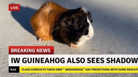 iwest2c's tweet photo. 6 more weeks of winter!
#groundhogday2021 #iwesraiders https://t.co/poC2PJX9s2