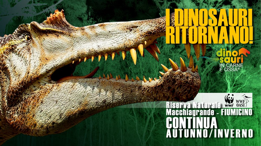 Dinosauri Carne Ossa tweet media