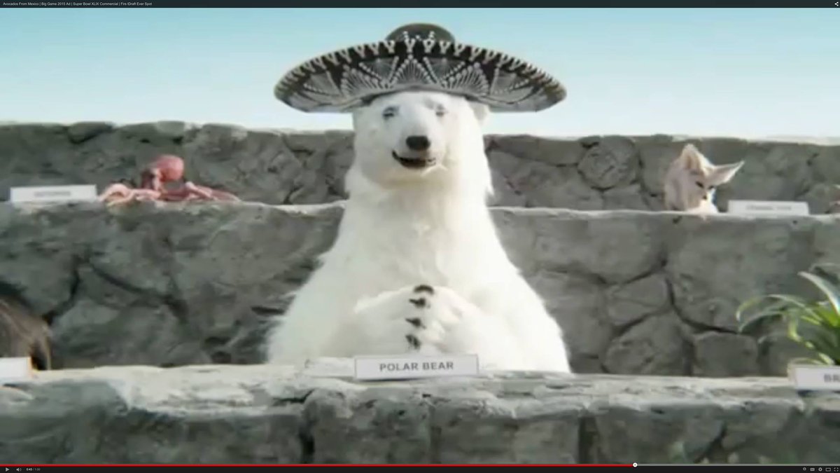 mindfinger's tweet image. Let us remember that on this day in 2015, during the rebroadcast of the #firstdraftever, we learned the Polar Bear was anticipating being selected by Mexico, but was passed over for an avocado.