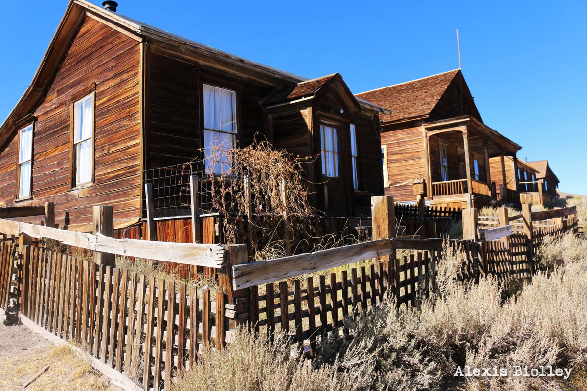 VisitBodie's tweet photo. Thanks to Alexis Biolley for this wonderful photo. See more visitor photos at https://t.co/BdPjwh3CmW

#Bodie #California #travel #photography #TravelPhotography #MiningTown https://t.co/aYdAEiBdkj