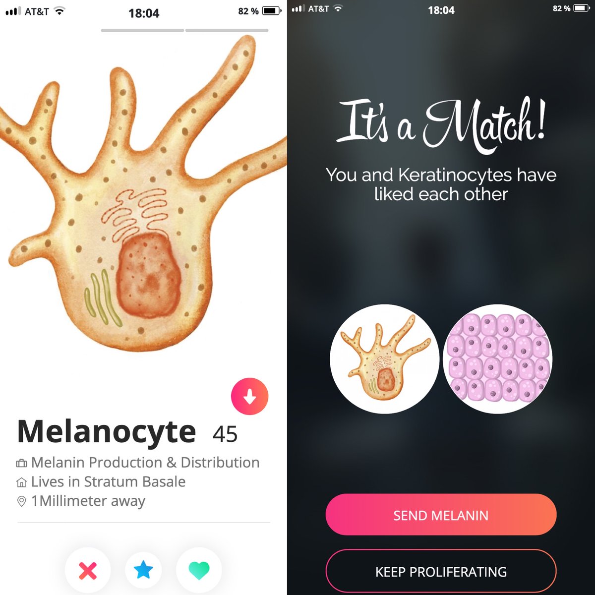 Brandon Zelman, DO (@brandonzelmando) on Twitter photo My entry for #pathart21 with <a href="/loyolapathology/">Loyola Pathology & Laboratory Medicine</a> takes a look into the dating life of some of our favorite cells. Because hey...cells deserve to find love too! #dermpath #pathology My entry for #pathart21 with <a href="/loyolapathology/">Loyola Pathology & Laboratory Medicine</a> takes a look into the dating life of some of our favorite cells. Because hey...cells deserve to find love too! #dermpath #pathology