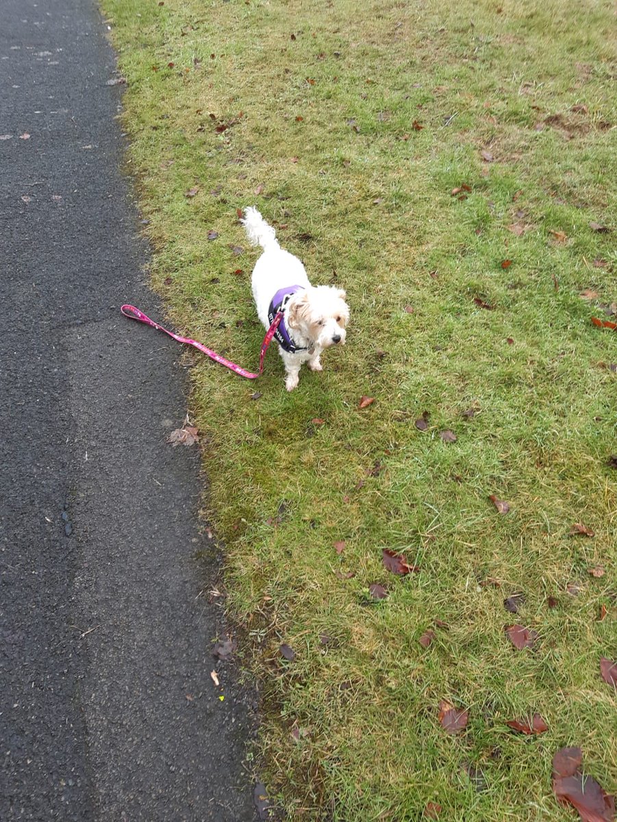 Mrs. Taylor and Poppy did their 1k today. 👏👏👏