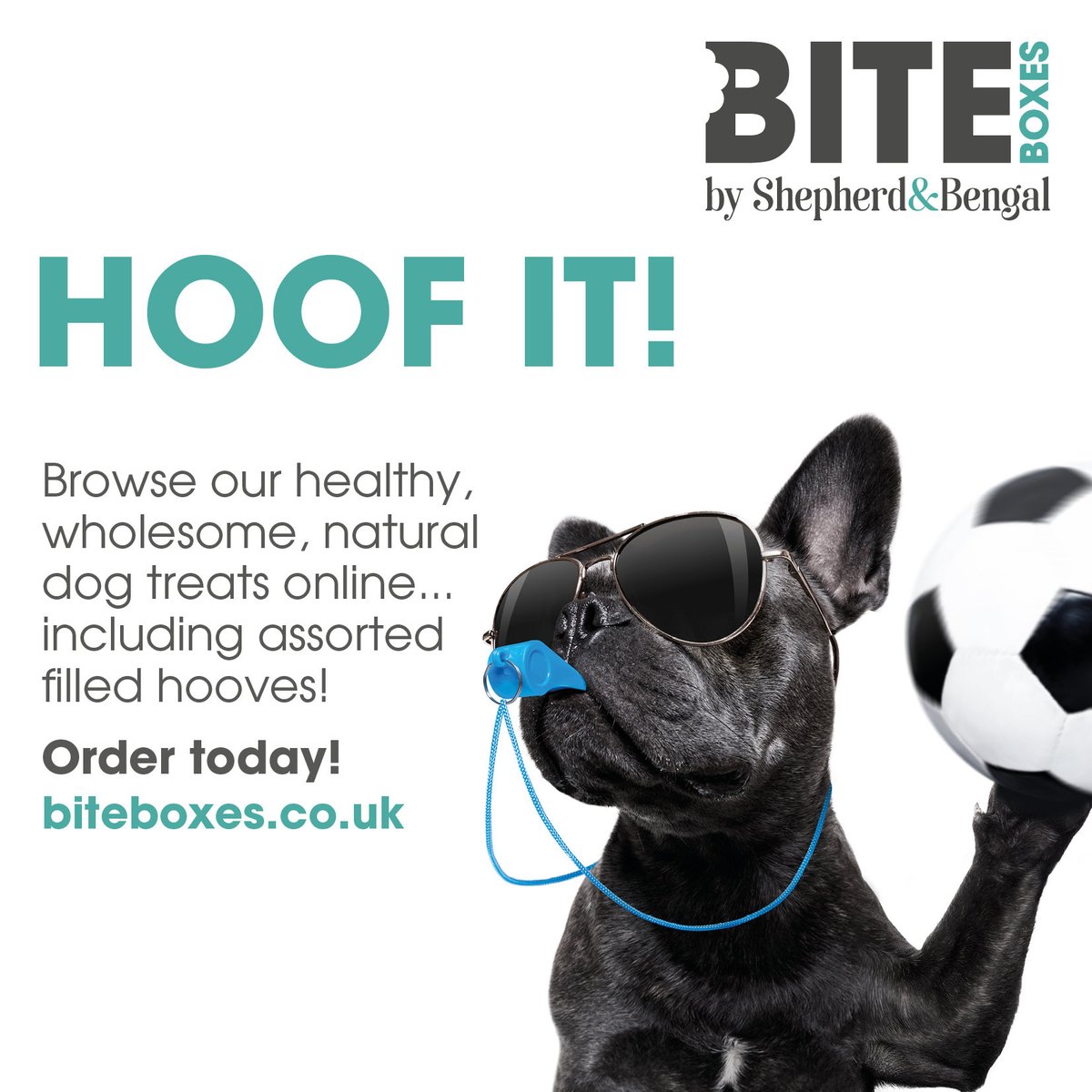 BiteBoxes's tweet photo. Its the beginning of the week, bring it on! 🐶🐾💗
https://t.co/oD0J0cF2cY

#rawfeedingcommunity #rawdogfooddiet #rawdogfood #healthydogtreats #naturaldogcompany #dogtreats #allnaturaldog #freshdogtreats #realfoodfordogs #doglovers #ilovemydog #dogsuk #doglife #Biteboxes #Dog https://t.co/THOFcYRidz