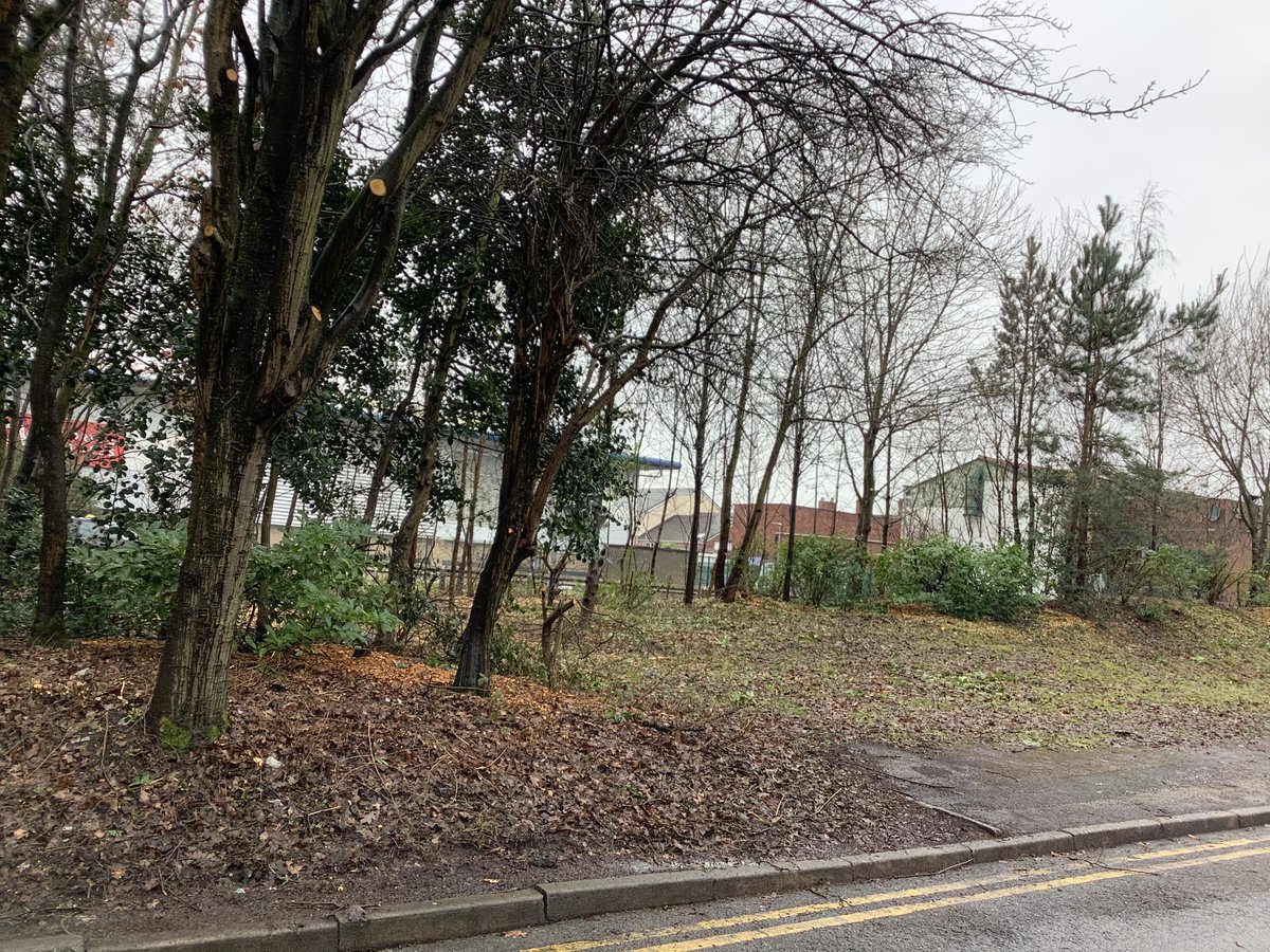 HorabinJ's tweet photo. BIG thank you to #HaltonBC for ALL the hard work in our neighborhood! It is very much appreciated during this time and I'm sure the local community and wildlife will benefit greatly! #healthyhalton https://t.co/XVkXcvaRiA