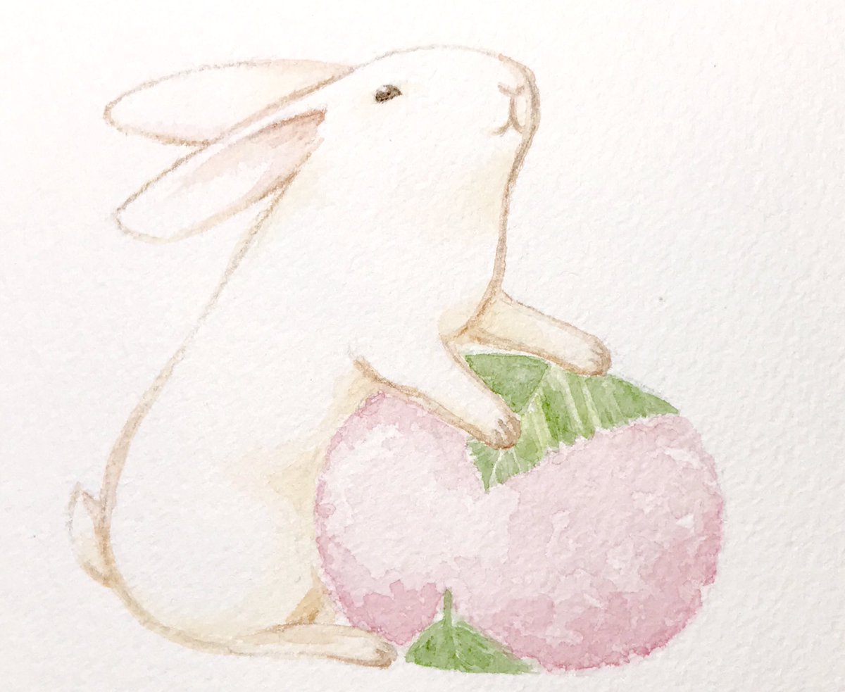 和土 遼🌸🐇ANIMAL2025、函館ロフト on X: 