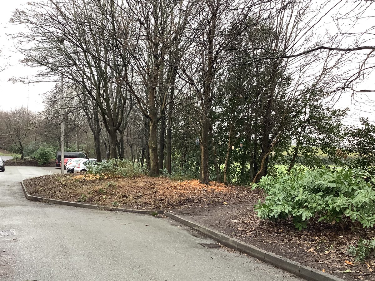 HorabinJ's tweet photo. BIG thank you to #HaltonBC for ALL the hard work in our neighborhood! It is very much appreciated during this time and I'm sure the local community and wildlife will benefit greatly! #healthyhalton https://t.co/XVkXcvaRiA