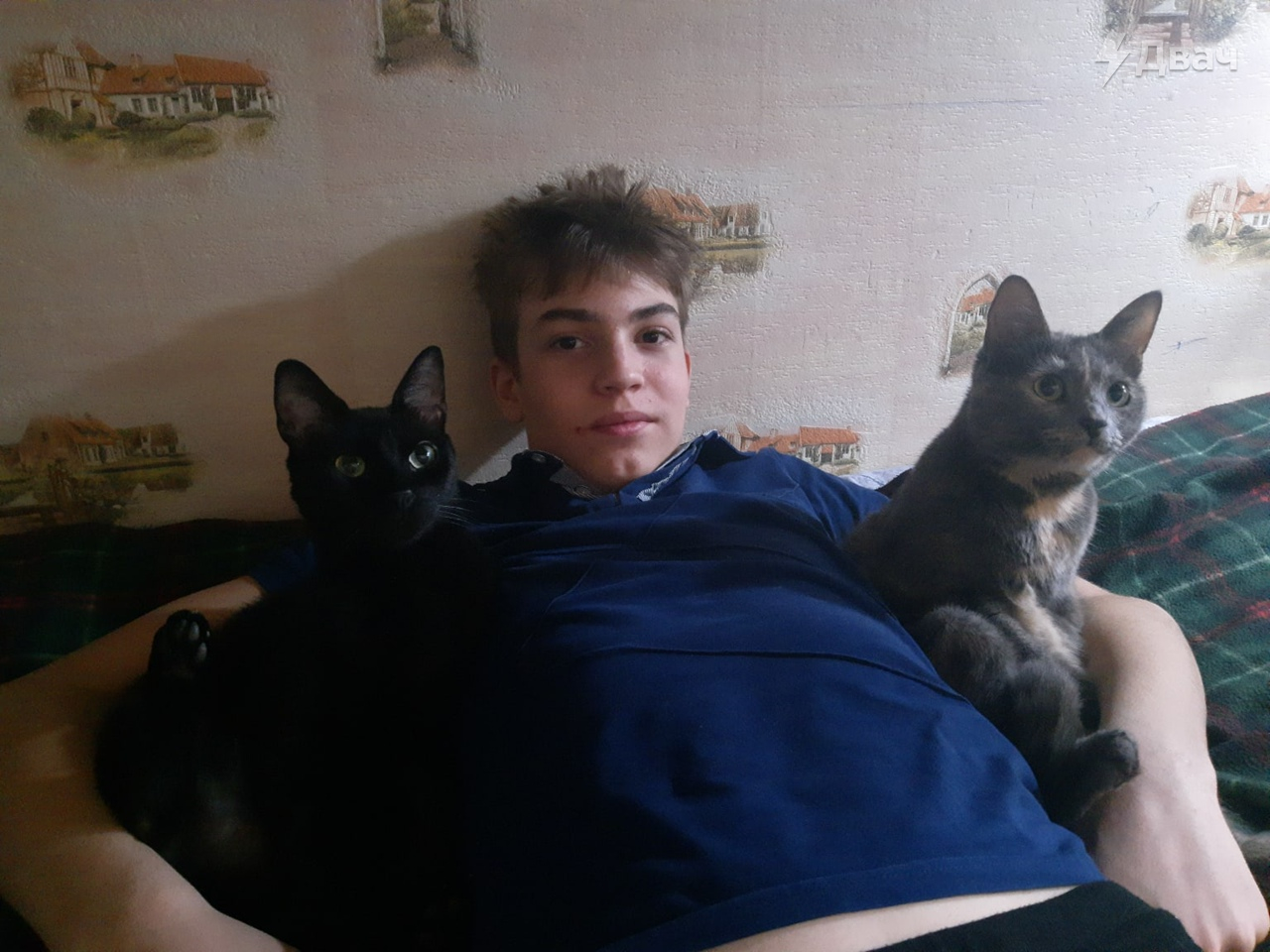 EtOC-p4XIAIzMNV?format=jpg&name=large