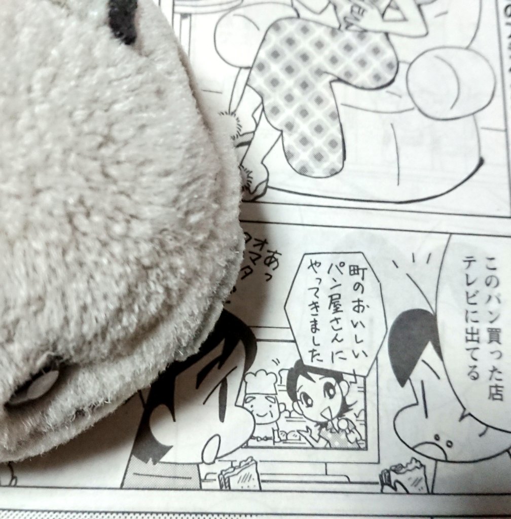 玉緒 宗教 さとう