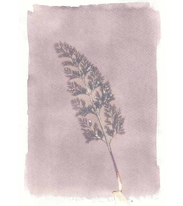Hello! News!

I ~finally~ have an online shop, where you can buy plant prints of mine 🌿

Please do have a browse - I will be updating the shop with photographs of mine in the coming weeks. 

cargocollective.com/timboddyphotog…
