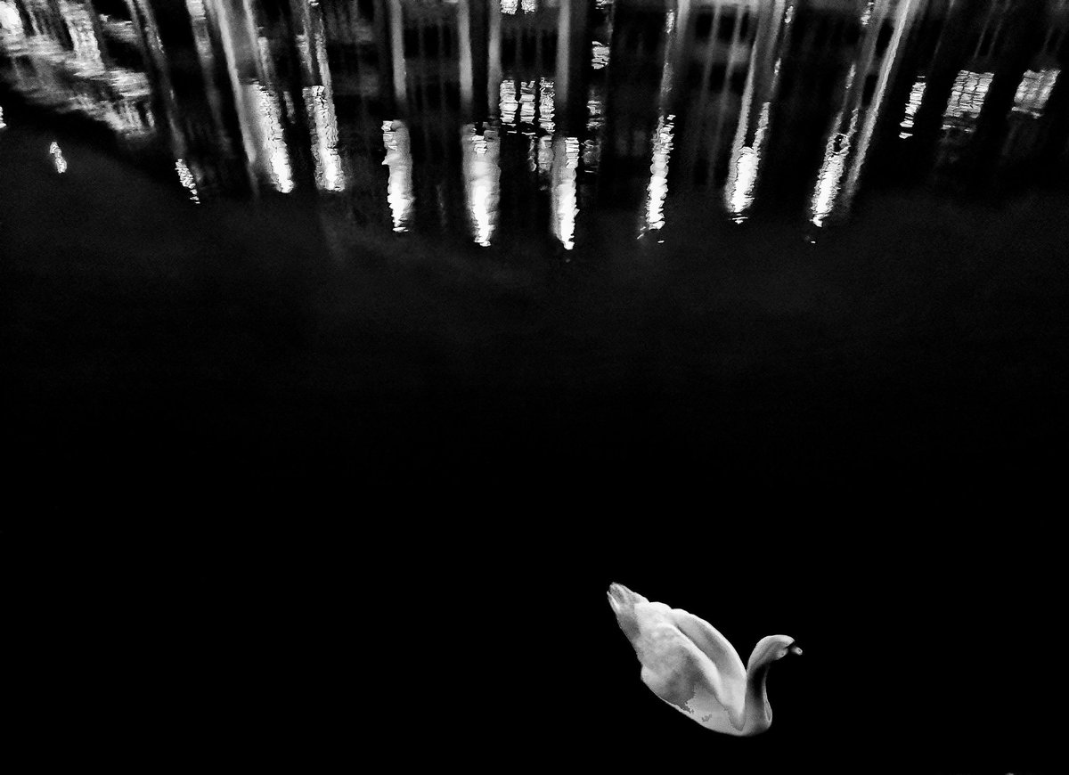 GingerSlim's tweet image. Standard prints are 10 x 15 inches and I'm charging £15 + p&amp;amp;p but there are other sizes available. DM for more info and ofc RTs are always appreciated.