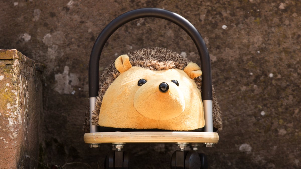 hippychick_com's tweet photo. Happy #NationalHedgehogDay everyone. Yes, apparently it is today! #wheelybugs #hedgehogs #toys #freeplay @hedgehogsociety 🦔🦔 https://t.co/xSjLVdlPhS