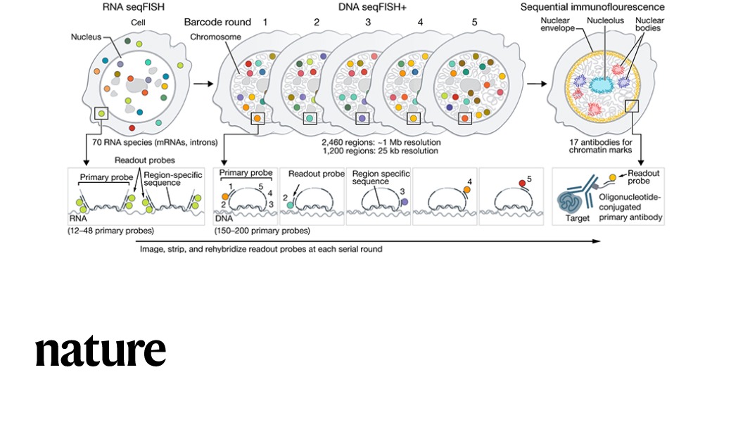 Nature Portfolio tweet media