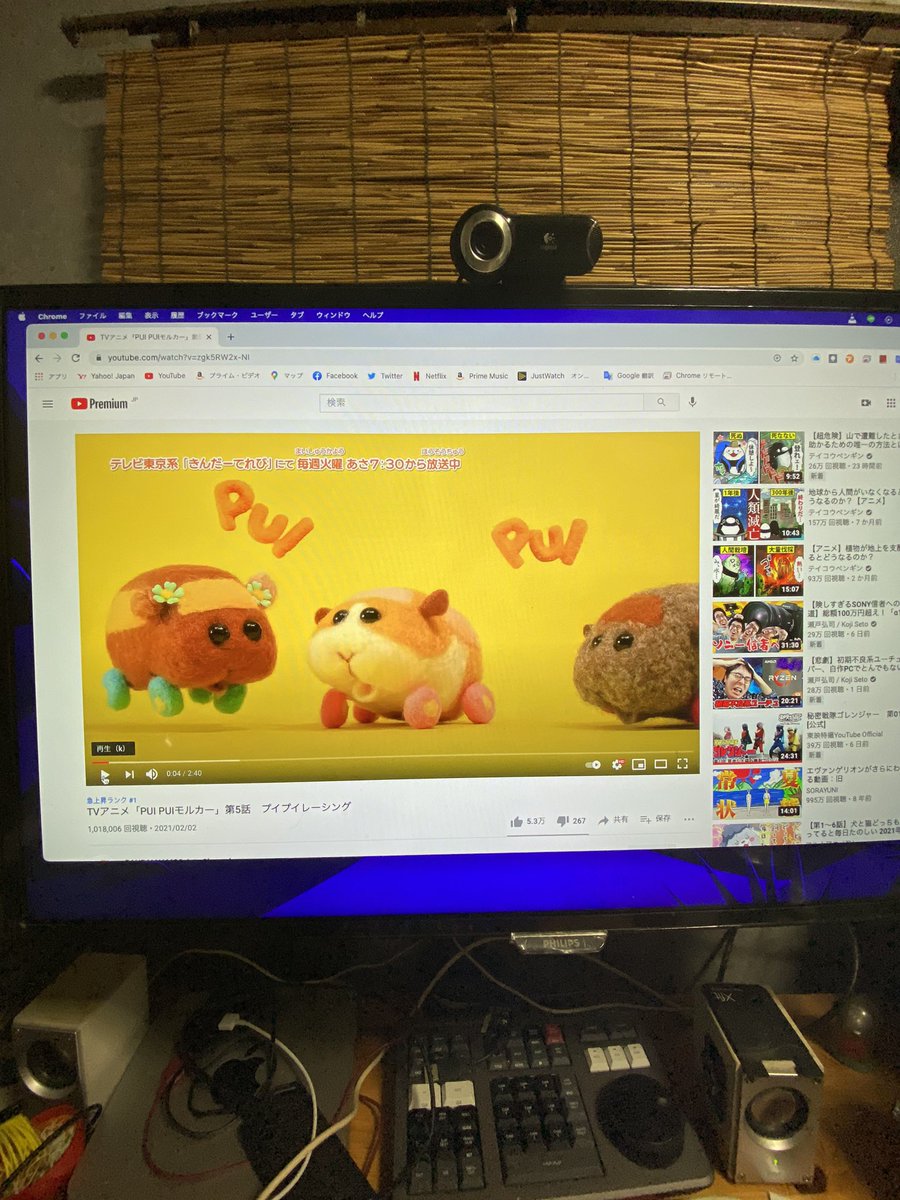 benet's tweet image. 良かった画面が砂嵐のMacは
居なかったんだ....
#MacMiniM1  #obt