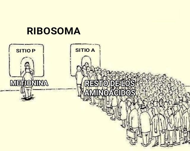 AleSerra1210's tweet photo. https://t.co/oMgBZIoXt9