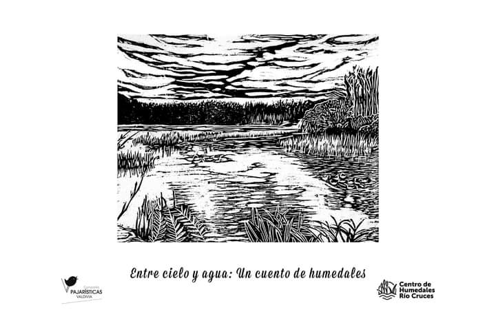 centrohumedales's tweet image. Por qué son importantes los humedales? Hoy celebramos el #DiaMundialDeLosHumedales con una actividad familiar: "Entre el Cielo y el Agua: Una historia de Humedales" desarrollados por la Compañía Pajarísticas y el CEHUM. A las 18 por Facebook Live de @MMALosRios #valdiviacl
