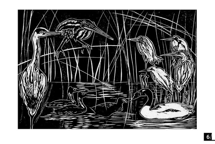 centrohumedales's tweet image. Por qué son importantes los humedales? Hoy celebramos el #DiaMundialDeLosHumedales con una actividad familiar: "Entre el Cielo y el Agua: Una historia de Humedales" desarrollados por la Compañía Pajarísticas y el CEHUM. A las 18 por Facebook Live de @MMALosRios #valdiviacl