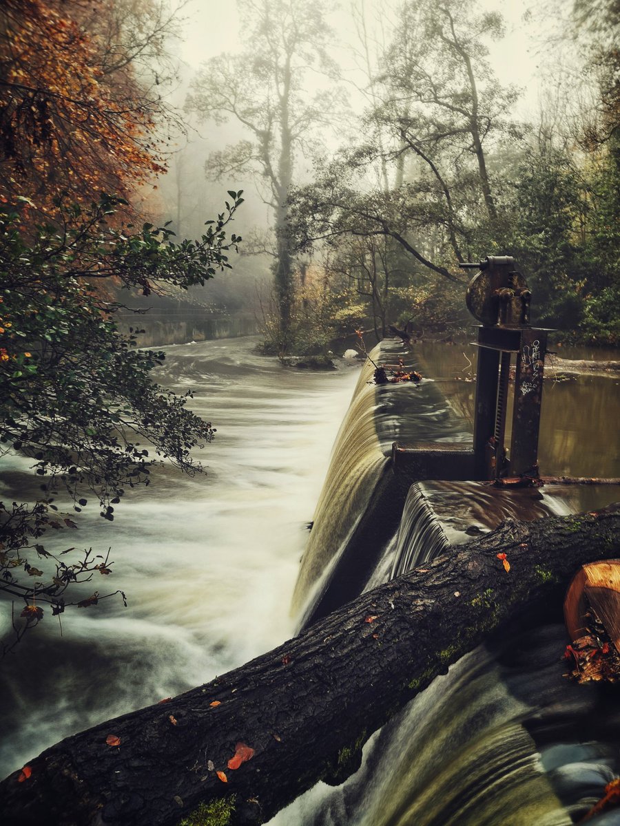 GingerSlim's tweet image. These are just some popular prints that I offer, but in fact the majority of photos on my IG page are available:

Instagram.com/gingerslimphoto