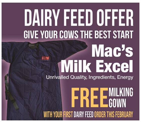 mcdonnellbros's tweet image. 