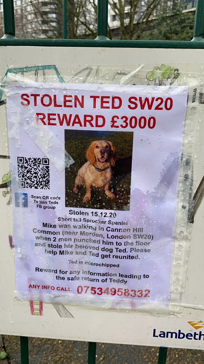 If you want to know how much this man wants his dog back, this poster is in Vauxhall &amp; ted was stolen in Morden.😢
