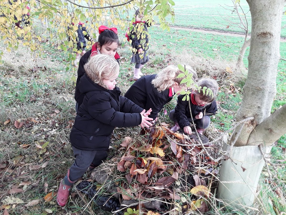 NULS_Nursery's tweet image. Little NuLS are always keen to learn outdoors and having submitted evidence of how we protect wildlife, such as making a hedgehog hibernation den or building a bug hotel, we were presented with a Wild Challenge Bronze Award! #WeareNuLS #WeareLittleNuLS #rspbwildchallenge #EYFS