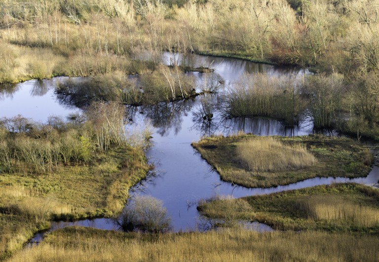 Happy  #WorldWetlandsDay!Wetlands are areas of land saturated with water - permanently or seasonally. In Scotland, they've allowed for some pretty incredible discoveries over the years.Don't believe us? Hold on to your wellies as we wow you with wetland wonders..  #YCW2021