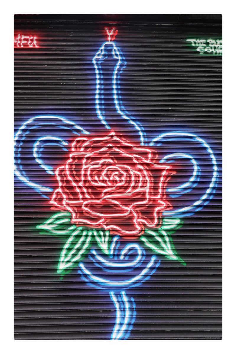 TokidokiNomad's tweet photo. #adamfu #streetart #ny https://t.co/E4O6ButahF