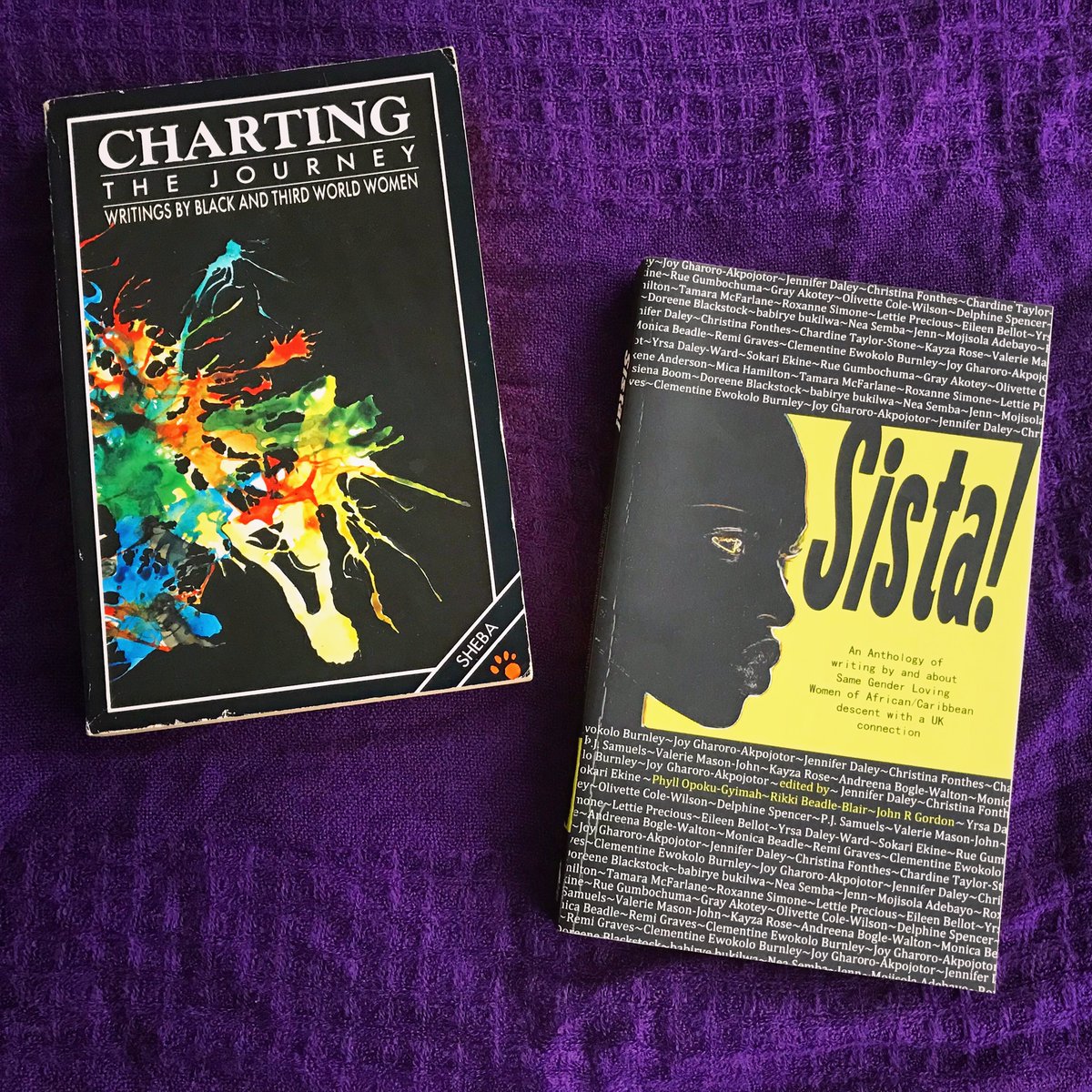  Charting the Journey: Writings By Black and Third World Women Sista!Two under-appreciated gems too often overlooked by the feminist canon. These collections give voice to the experiences of lesbians of colour in Britain. Bold, imaginative writing. #OurFeministLibrary