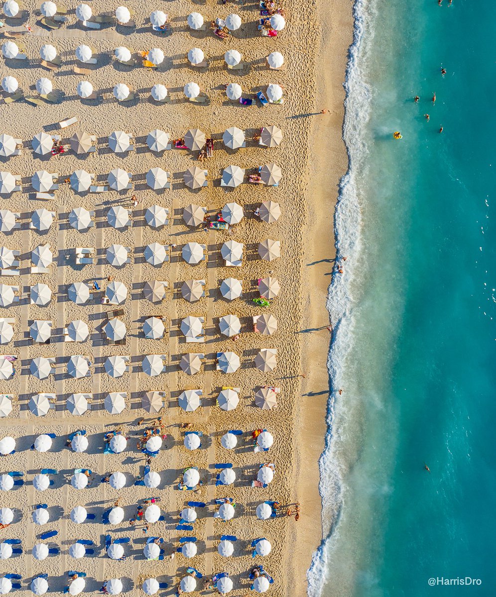 Harris Dro Photographer tweet media