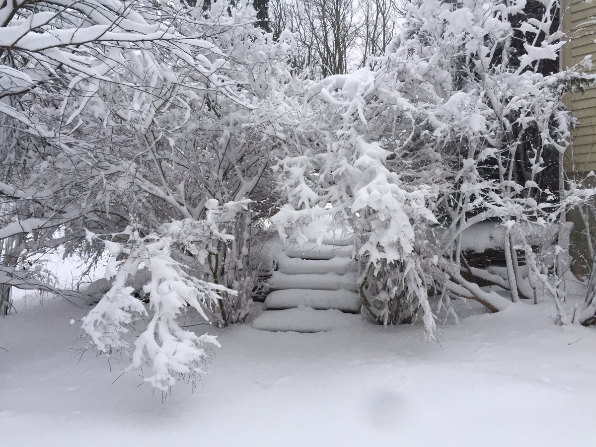 Howard Altschiller tweet media