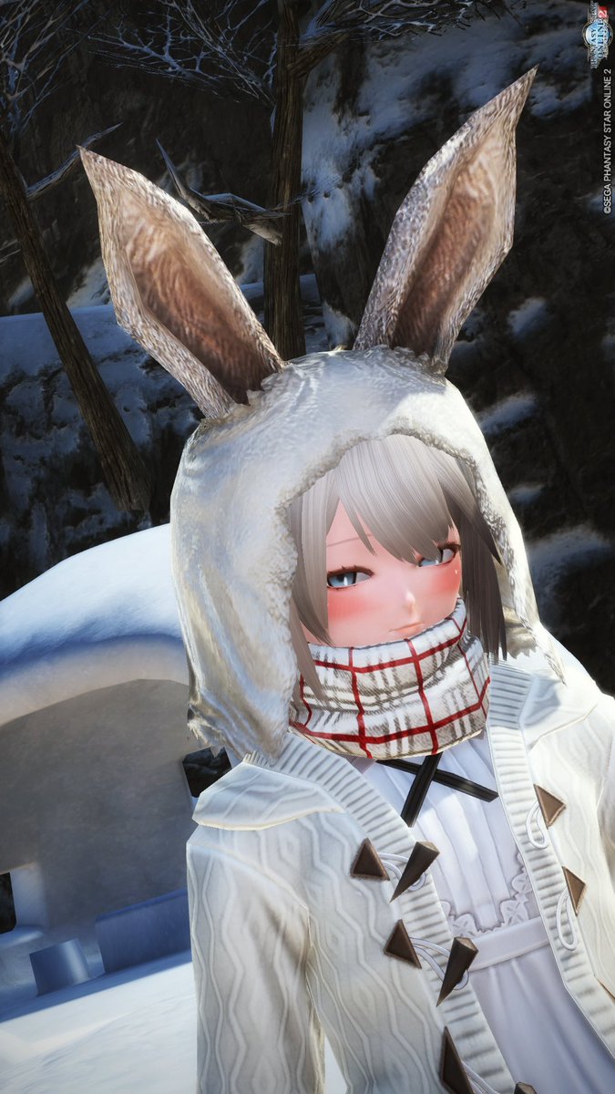 アイルー改 うさみみフード 防寒仕様 自キャラに暖かい格好をさせたかったんじゃ ヽ W メンテの日なのでssを貼る Pso2男の娘同盟 Pso2おとこのこ部