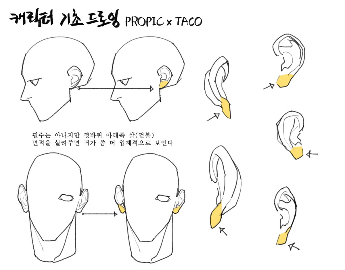 귓바퀴 아래쪽 살(귓불) 면적을 살려주면 귀가 입체적으로 보인다 물론 필수는 아니다 