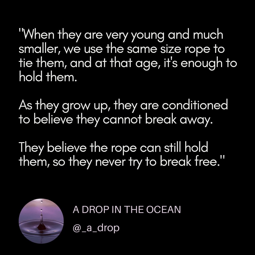 The trainer replied: