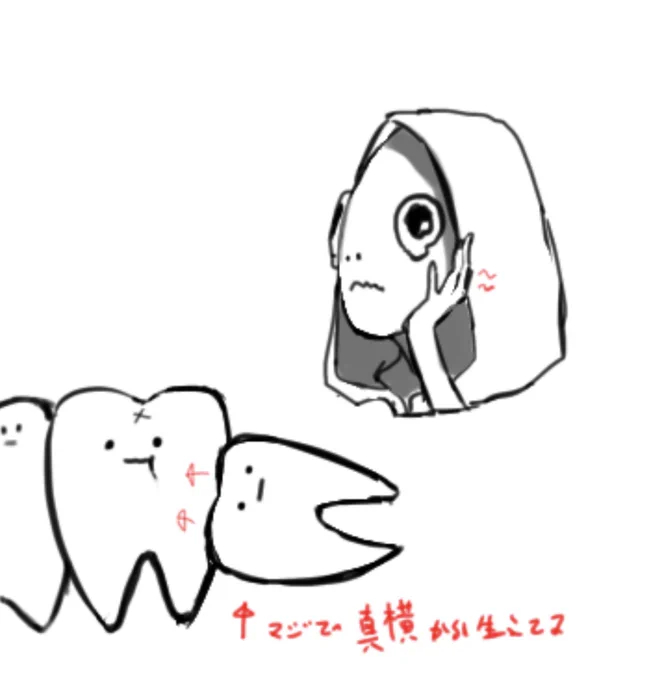最近親知らず育ってきた。 