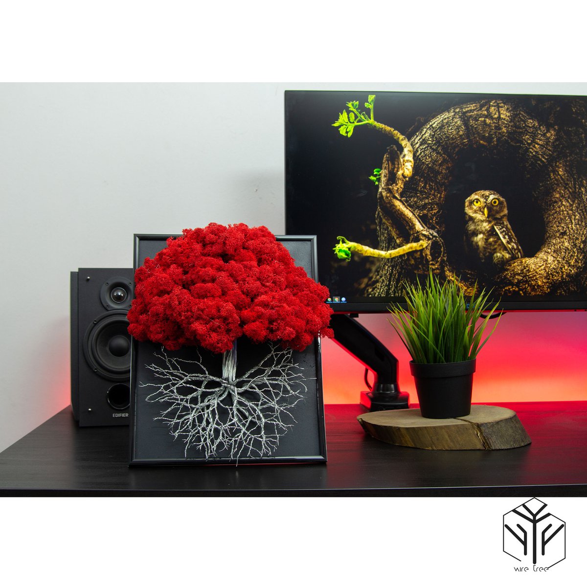 tree_wire's tweet photo. ❤️
#wallart #wiretree #wiretreesculpture #wiretreeart #decorations #art #artofinstagram #nature #decoration #trees #naturelovers #design 
#lovethesign #colour #interiordesigns #interiordecor  #interiordecoration #vogueliving #elledecor #decorlovers https://t.co/Q8KlD0EUAs